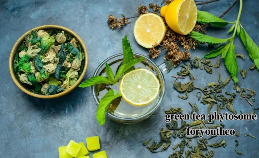 green tea phytosome foryouthco