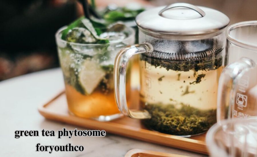 green tea phytosome foryouthco