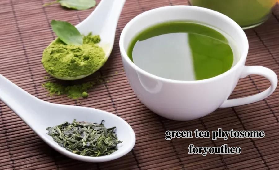 green tea phytosome foryouthco