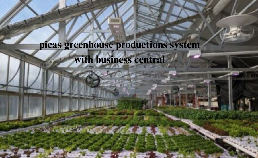 picas greenhouse productions system with business central