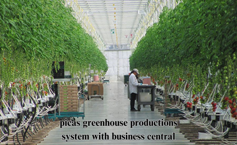 picas greenhouse productions system with business central