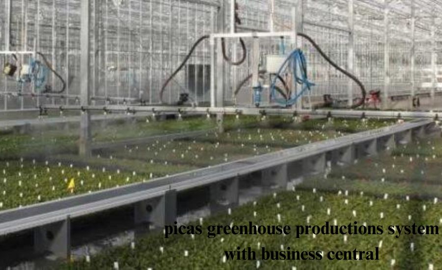 picas greenhouse productions system with business central