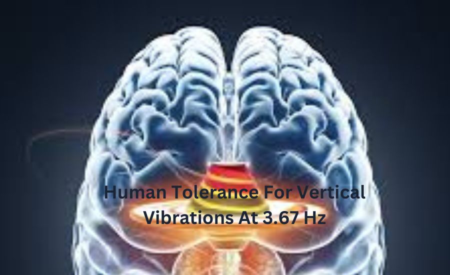 human tolerance for vertical vibrations at 3.67 hz