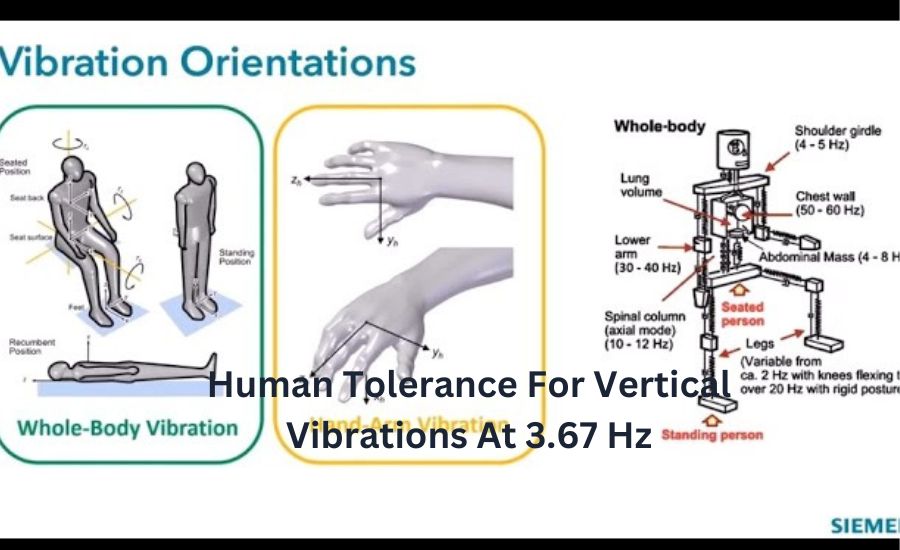 human tolerance for vertical vibrations at 3.67 hz 